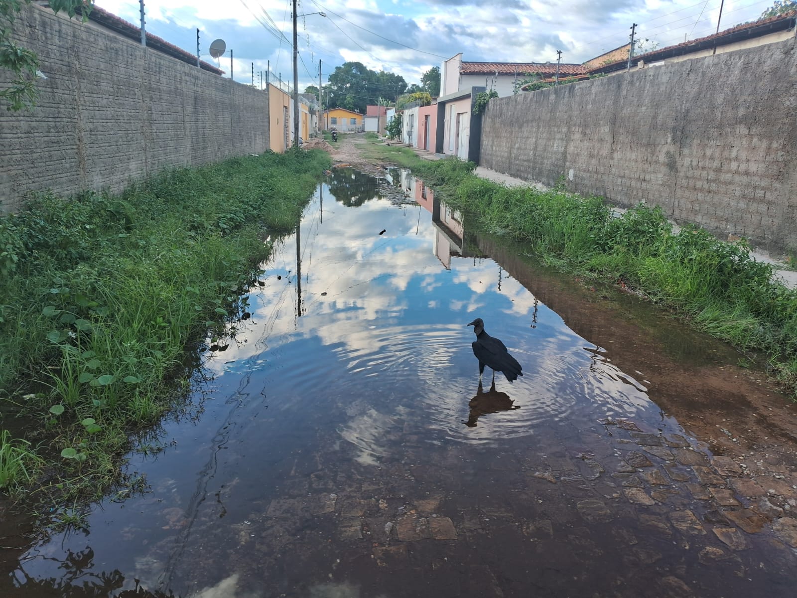 Rua alagada